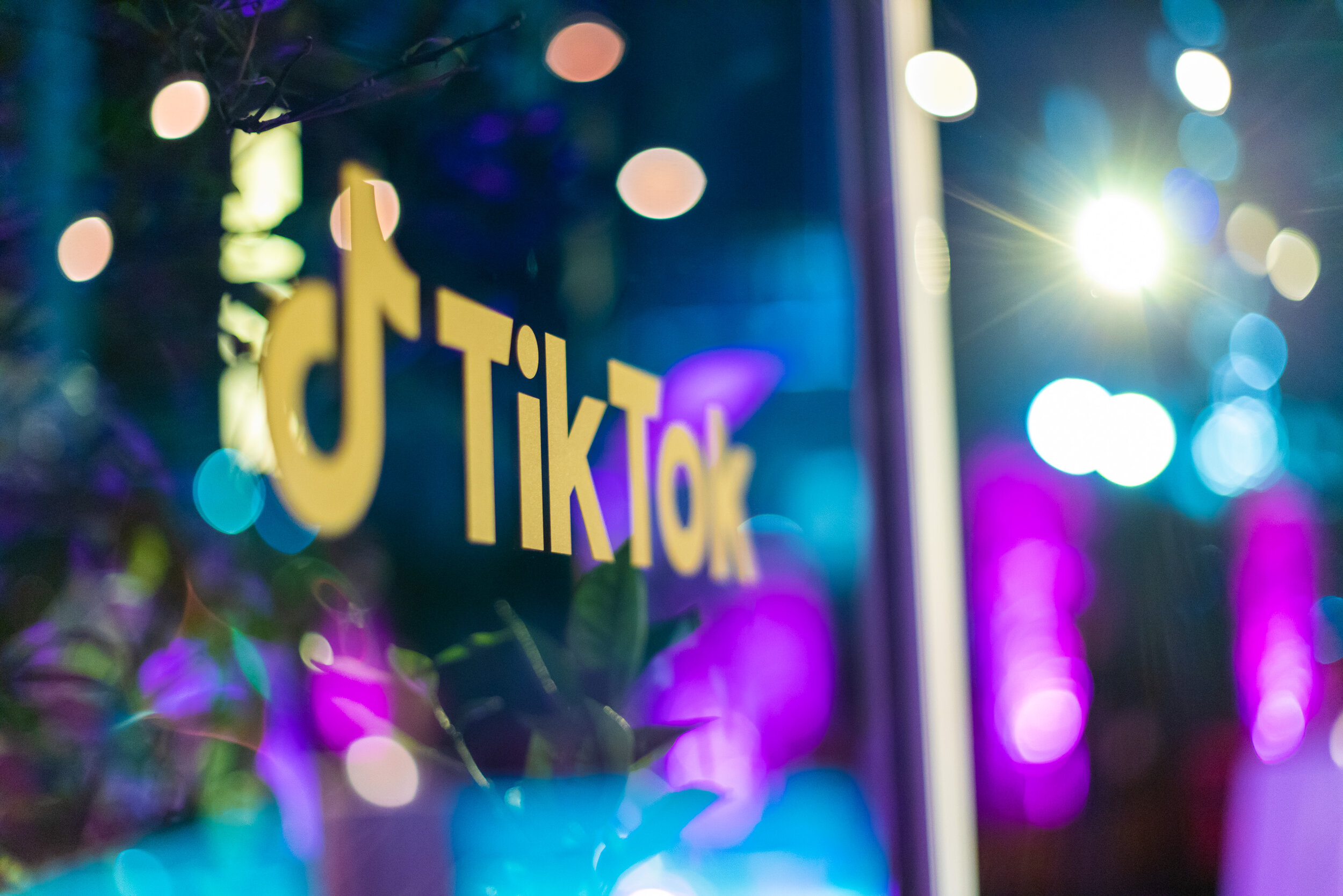 TikTok MakeBlackHistory